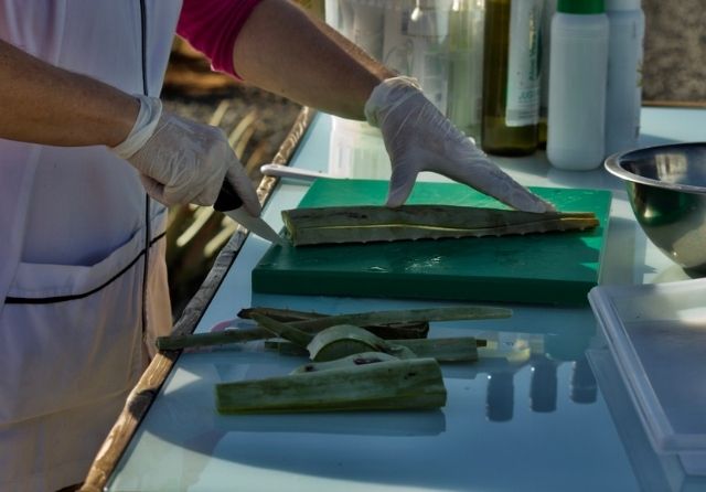 alopecia aloe vera